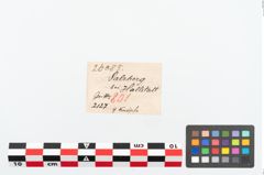 Etikett zu Bronzeknopf (NHMW-PRAE-026085)